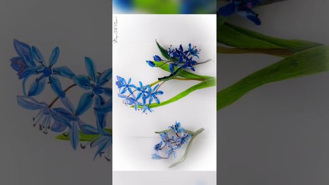 Авторский видеоМК Первоцветы. -50% до конца марта