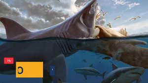 Акула Мегалодон кто это?