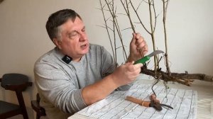 Как бороться с порослью в саду? Не все так просто…