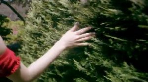 Leah Dizon Softly Everything Anything HD