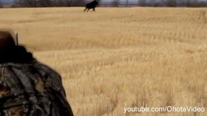 Андрюха стреляет в лося. Охота на лося на реву 2012-2013 Moose hunting in Russia.