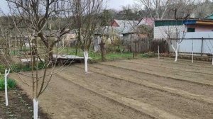 Как облегчить жизнь в огороде? Делаю удобные грядки и дорожки. Мульчирование клубники. Итог работ.