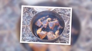 Коптильня из мед.биксы.