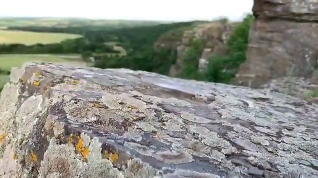 Поздравление Главы Администрации Куйбышевского района с Днём России.mp4 смотреть онлайн