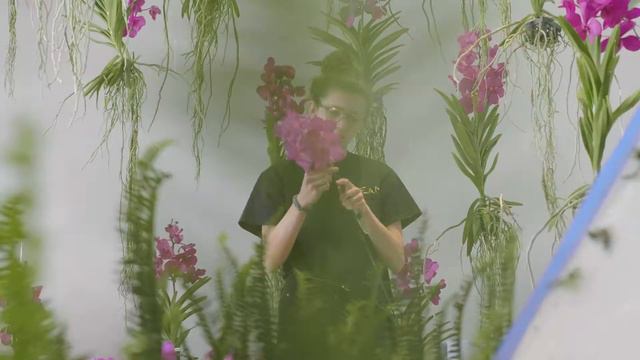 Reflective Nature by Jeff Leatham смотреть онлайн