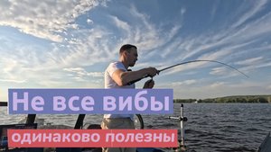 Ловля судака на зимние приманки летом!