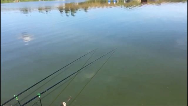 Обзор с 3 сектора! Клевое место, д. Савельево смотреть онлайн