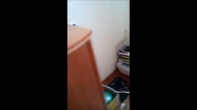 уборка в гостинной - спальне смотреть онлайн