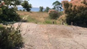 Крым.  Межводное  - 2021г