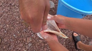 ВЫЖИВАЕМ НА БРАТСКОМ ВОДОХРАНИЛИЩЕ | 3 ДНЯ ПРОСИДЕЛИ ПОД ДОЖДЕМ #laowai