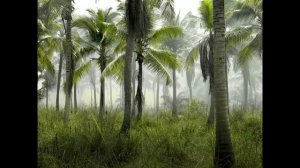 Ангола История