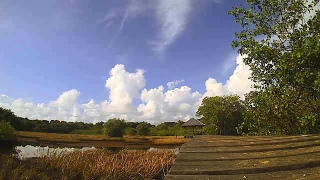 LES SALINES смотреть онлайн