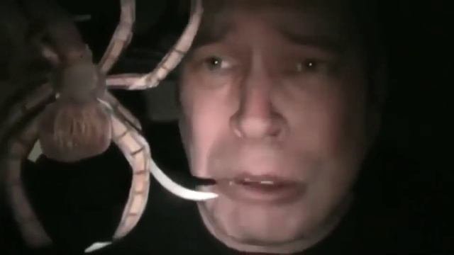 Геннадий Горин боится Геннадия Горина