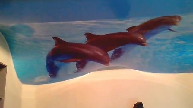 Натяжной потолок волна смотреть онлайн