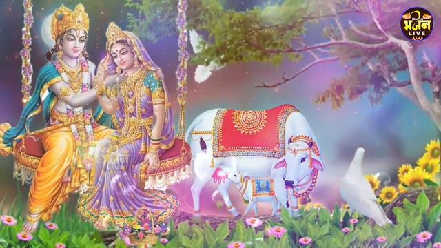 #bhajan bhajan live | Radha Krishna Bhajan |#devotional song