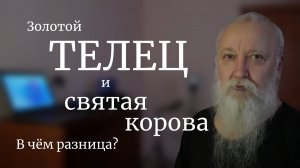 Почему иудеи и мусульмане не едят свинину