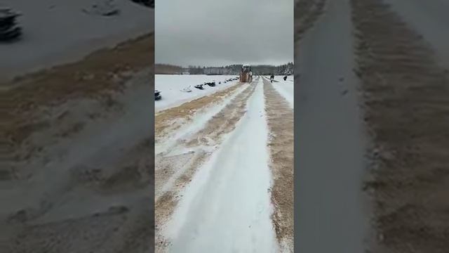 В лесном питомнике Нурлатского лесхоза по первому снегу посеяли семена березы