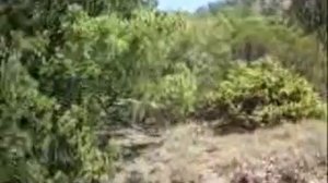 Путь из Судака в Новый Свет