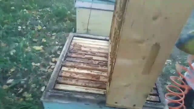 Опробовали новый для себя отбор магазинов))) смотреть онлайн