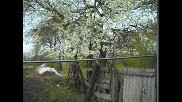 Как сделать УМЫВАЛЬНИК для ДАЧИ и дома. Сад и огород