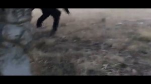 УБОЙ БЫЧКА В 2022г.