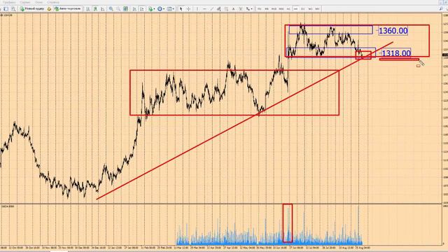 Прогноз по золоту на 31 августа 2016 г от школы трейдеров ForexSpez смотреть онлайн
