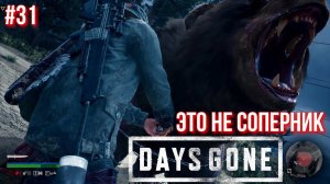 Дикон стал непобедим в DAYS GONE #31 Жизнь после