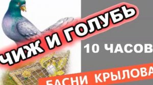 ЧИЖ И ГОЛУБЬ, УЧИМ ВО СНЕ, 10 ЧАСОВ! Басня Крылова