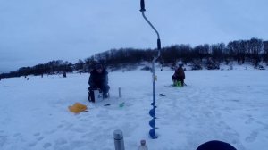 Дон! Липовка! Покаток!