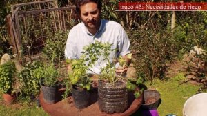 TOP 10 consejos para cultivar plantas aromaticas en maceta -  Regar, Podar, Fertilizar, Sol, Plagas