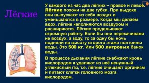 Видеоурок на тему ,,Строение тела человека" 3 класс