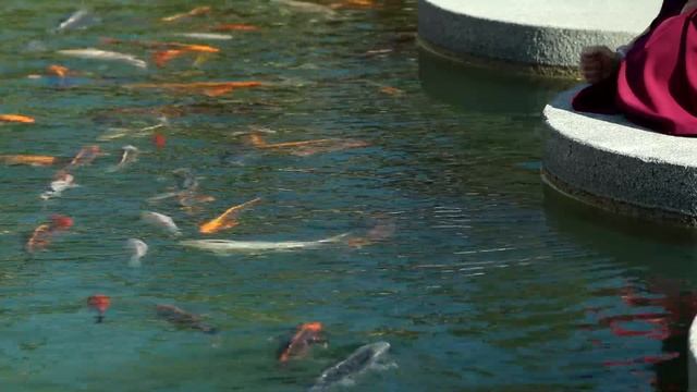 Аналитическая медитация. Сказка дервишей "Три рыбы" смотреть онлайн