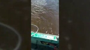 п.Сосьва ХМАО, река Северная Сосьва.