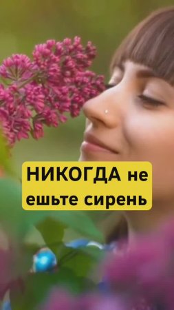 ❌😱 ОПАСНАЯ СИРЕНЬ