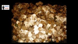 Клад Чешуи, Ивана Грозного, 2017, Treasure of Scale, Ivan Terrible