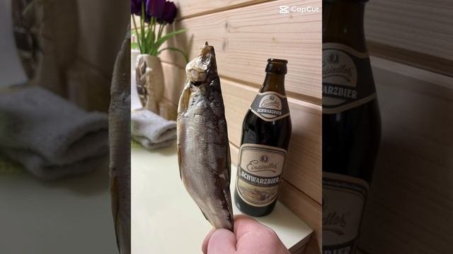 Шортс