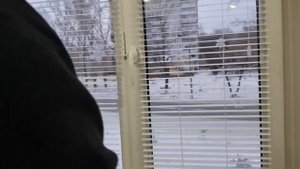 Окна ПВХ профилактика/регулировка/смазка