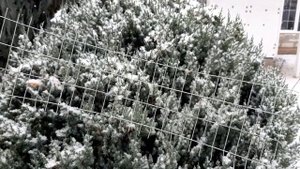 Новогодний декор участка своими руками. Как украсить участок к Новому Году.