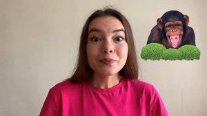 Тренировка 1