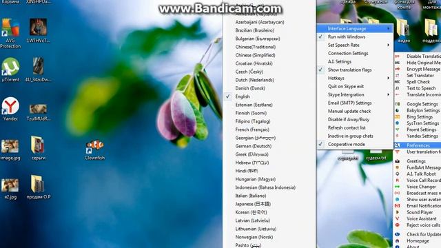 Обзор и настройка программы "Clownfish" смотреть онлайн