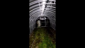 Двойная дуга арочная теплица