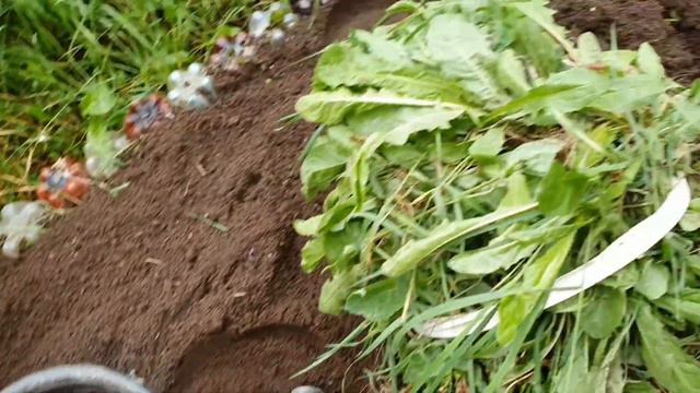 Осталась без лука!🧅САМА ВИНОВАТА!Оставила огород без присмотра!😳Гусеница!🐛 смотреть онлайн