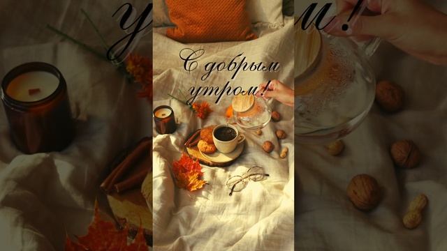 Клип с добрым утром для Ватсап | SunPikRu смотреть онлайн