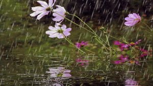 Муж решил бросить жену которая не могла ходить! Он поехал с любовницей на море и отдыхал оставив её