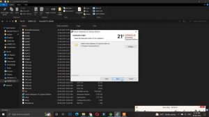 Oracle Fix - there is an already existing oracle database express edition service in this machine