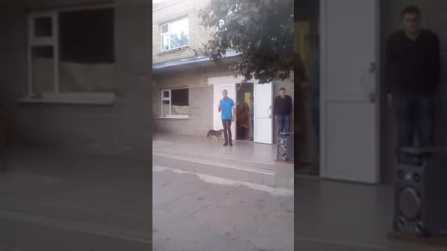 Quest Pistols ты так красива смотреть онлайн