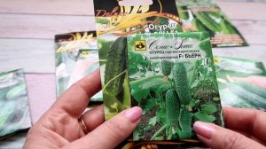 Лучшие ГИБРИДЫ огурца, которые я буду сажать