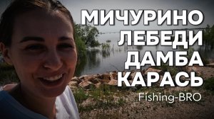 МИЧУРИНО, ЛЕБЕДИ, ДАМБА, КАРАСЬ 🐟🐟🐟