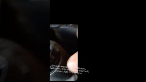 Шевролет Каптива 2009 г.( C 100 ).Замена термостата с патрубком, датчика ДВС.