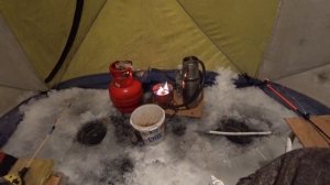 Увильды.  Рипус.